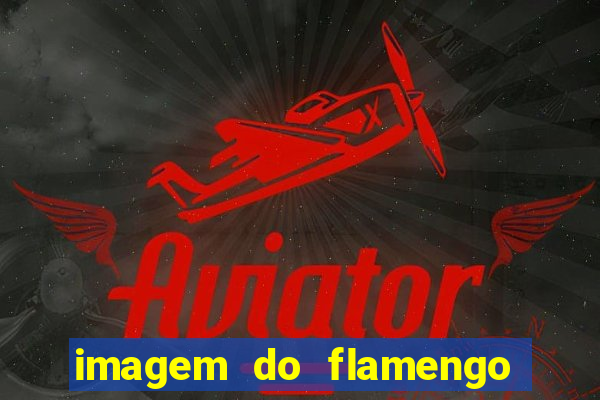 imagem do flamengo para perfil